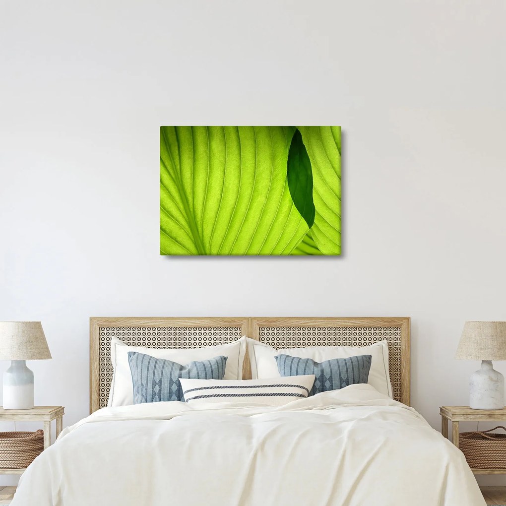 Kép - Zöld levél részlete (70x50 cm)