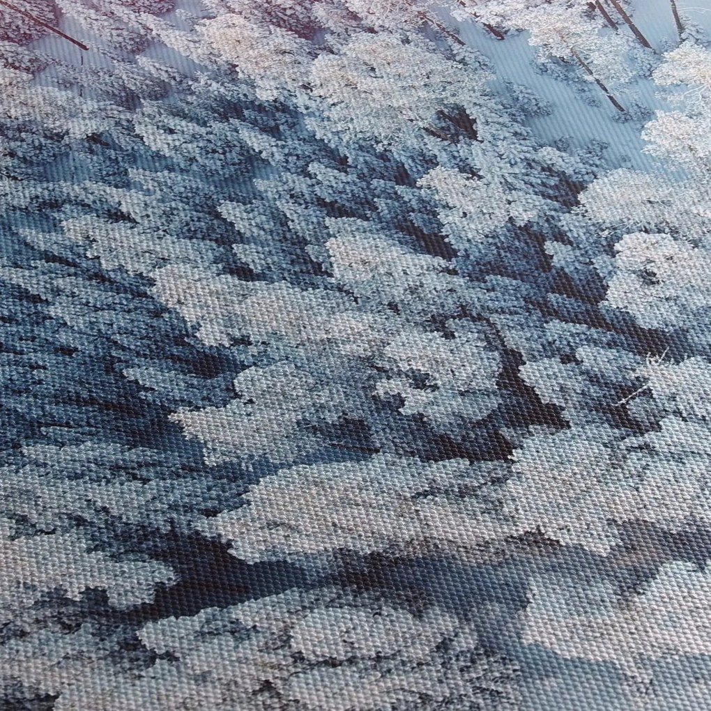 Havas fák képe (150x105 cm)