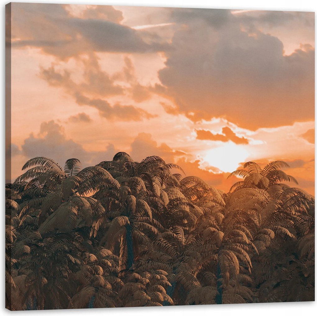 Vászonkép Fák Naplemente Felhők Égbolt 90X90 cm