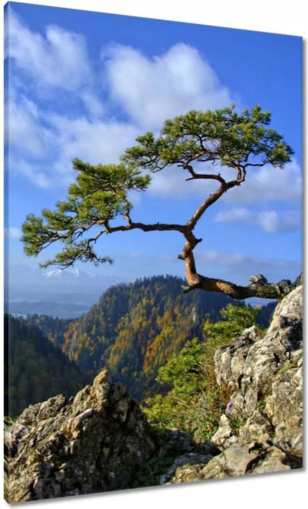 Festmények 70x100 Tájképek Kilátások Tájképek