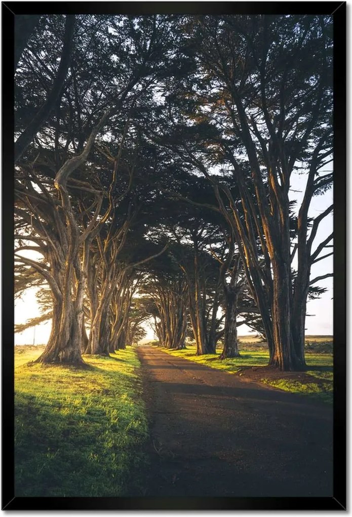 Poszterek keretben 40x60 Tájkép Látvány