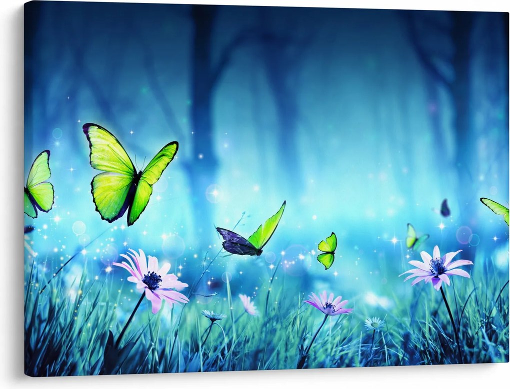 Kép - Misztikus erdei tisztás (70x50 cm)