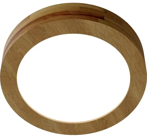 APLED - LED Mennyezeti lámpa RONDO LED/24W/230V á. 30 cm fa