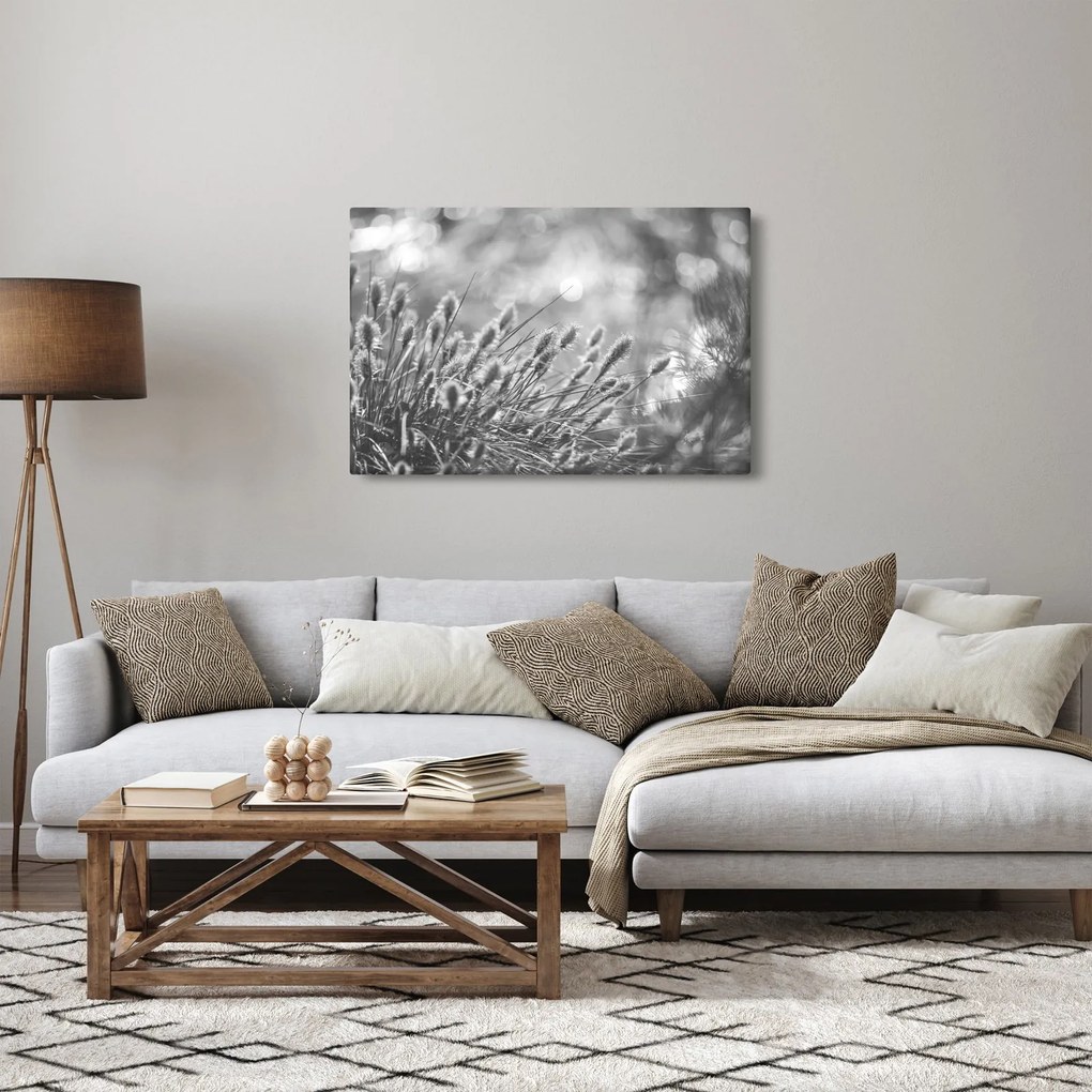 Kép - Bézs színű puha fű N⁰1 (90x60 cm)