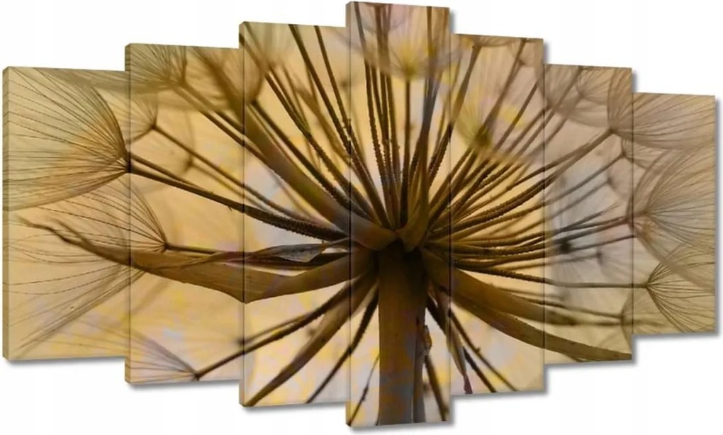 Vászonkép 140x80 Pitypang Virág Virágok