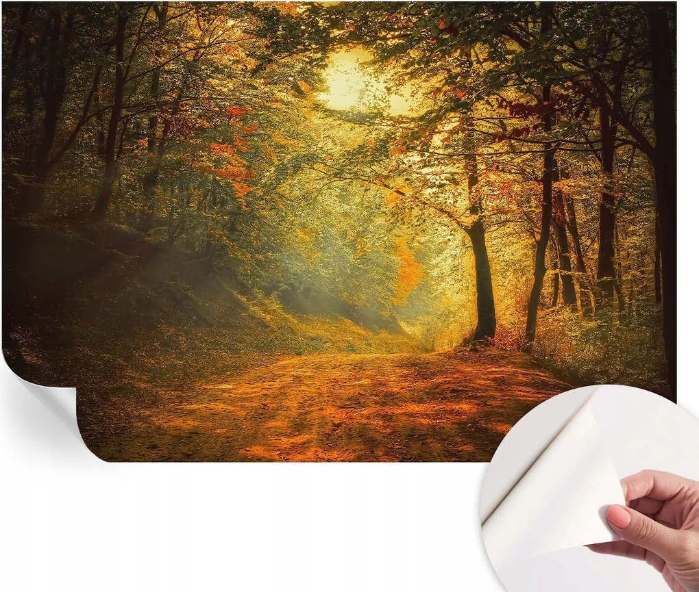 Öntapadós Stílusos Dekoratív Fotótapéta Őszi tájkép 152x104 cm