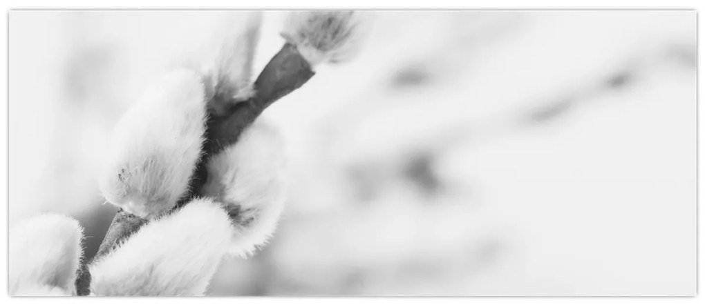 Kép - A tavasz kezdete (120x50 cm)