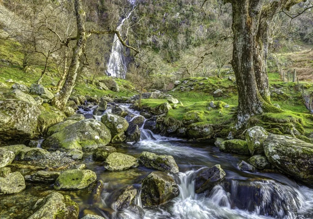 Poszter 100x70cm Aber 2 vízesés, Assaf Frank