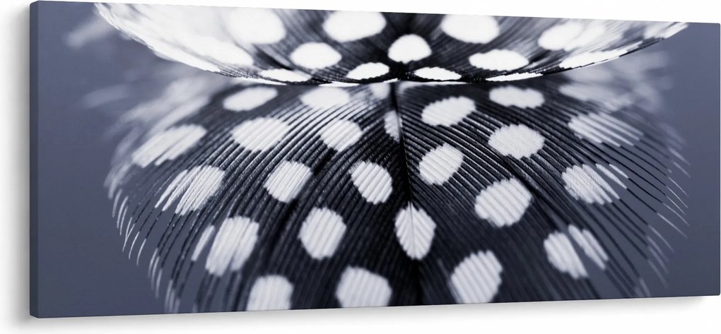 Kép - Toll (120x50 cm)