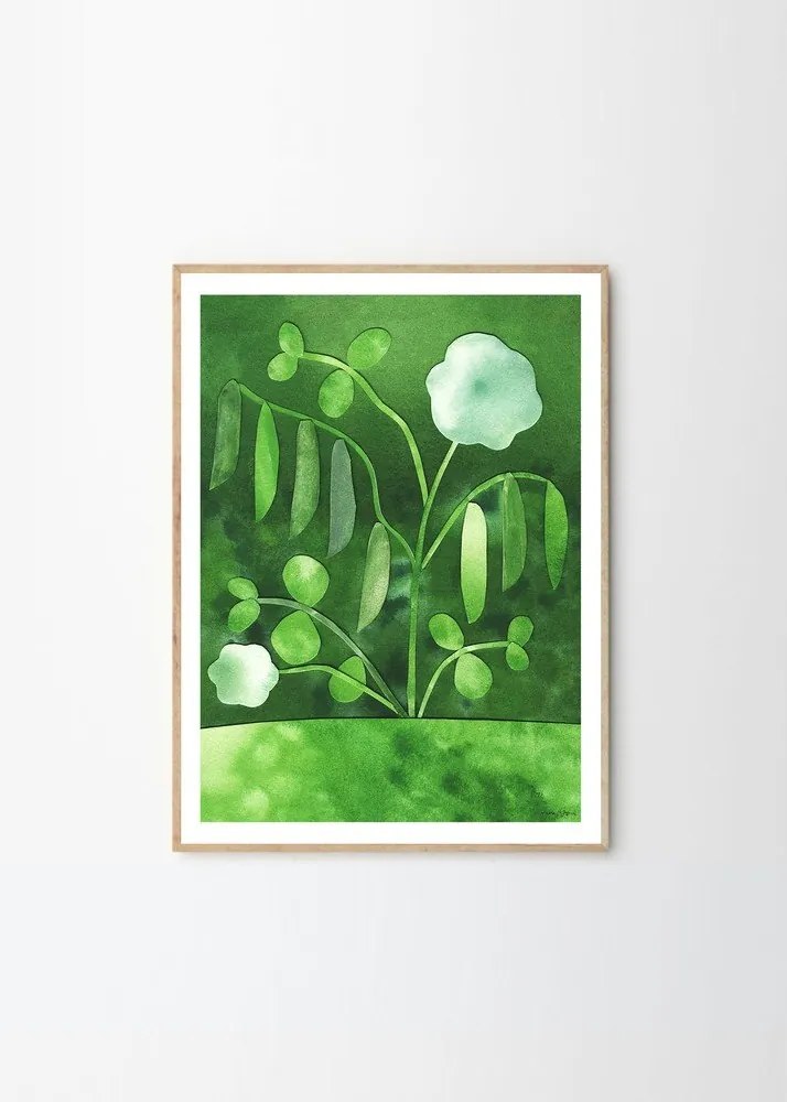 Poszter 50x70 cm Peas in Bloom – Anna Ravn Bjørn – The Poster Club