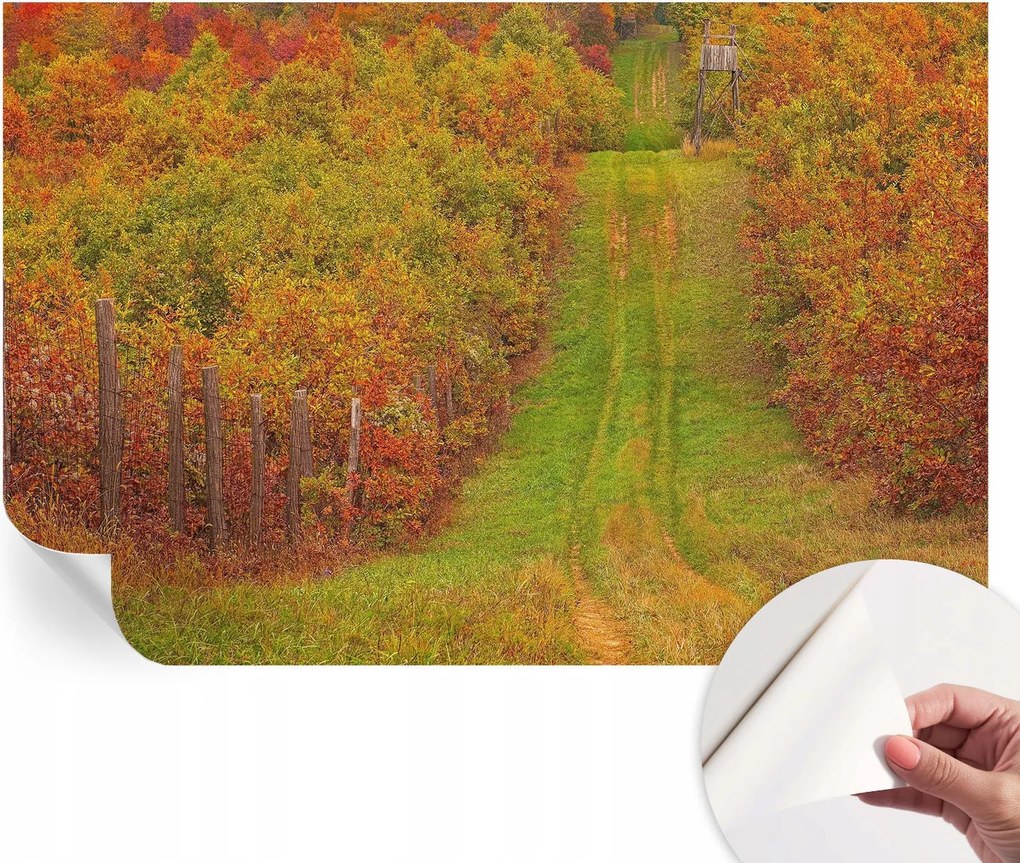 Dekoratív öntapadós fotótapéta Hálószobába Őszi színek 104x70 cm