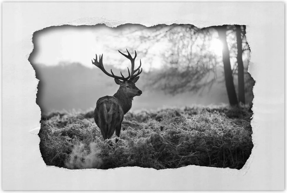 Poszterek 90x60 Szarvas a rikkancson