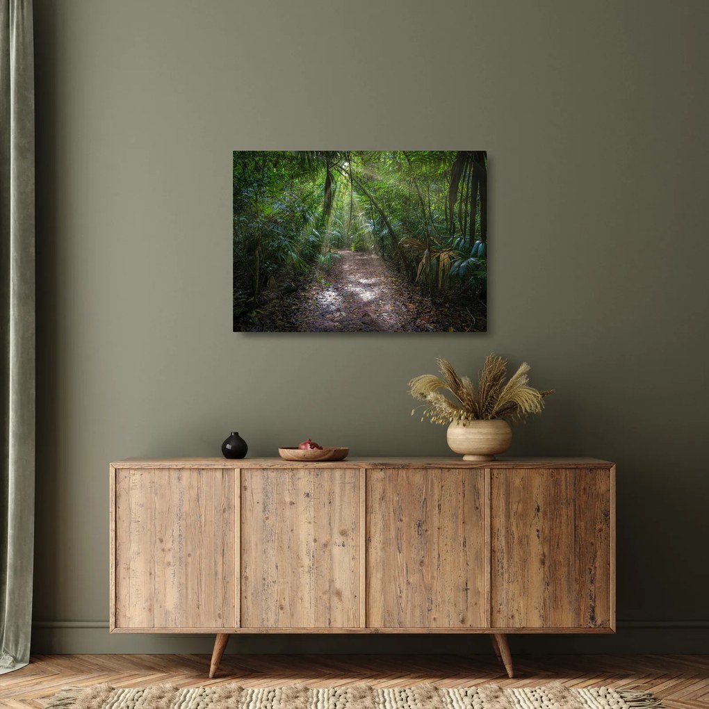 Kép - Napsugarak a dzsungelben (üvegen) (70x50 cm)