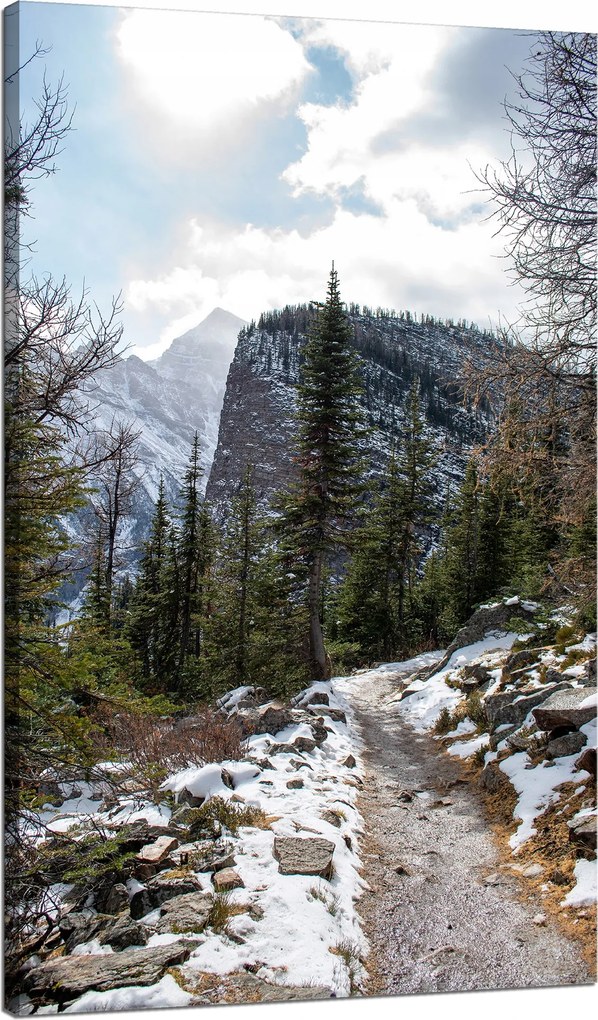 Vászonkép Természet Hegyi ösvény 70x120 cm