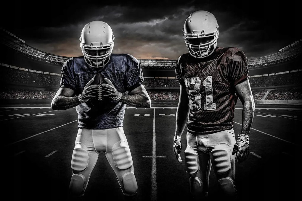 Flizelin fotótapéta Amerikai foci stadion játékosok 250x175 +ragasztó