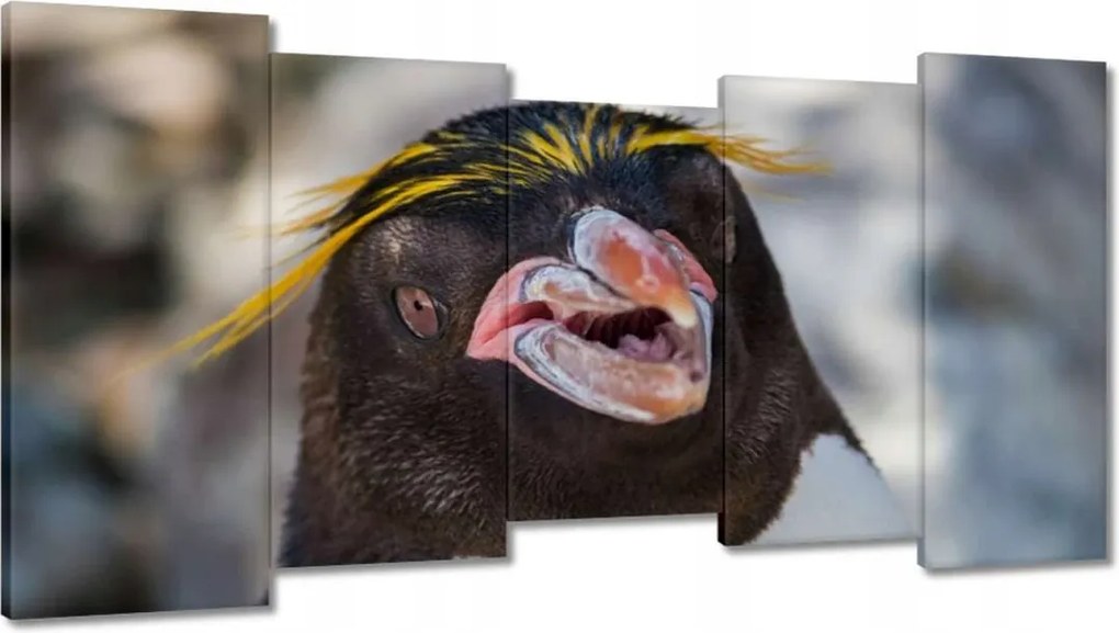 Vászonkép 150x80 Állatok