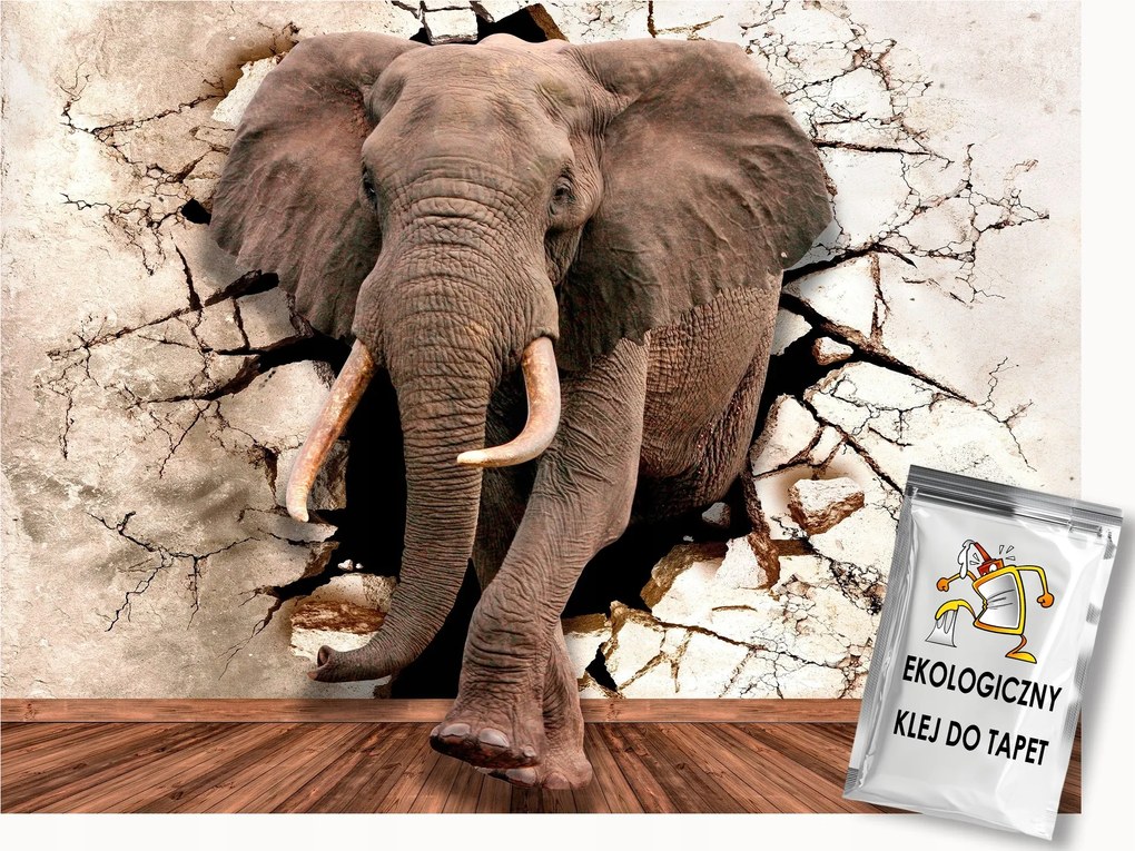 Fotótapéta Flizelina Fal Lyuk 3D Állat Elefánt Illúzió 250x175 ragasztó