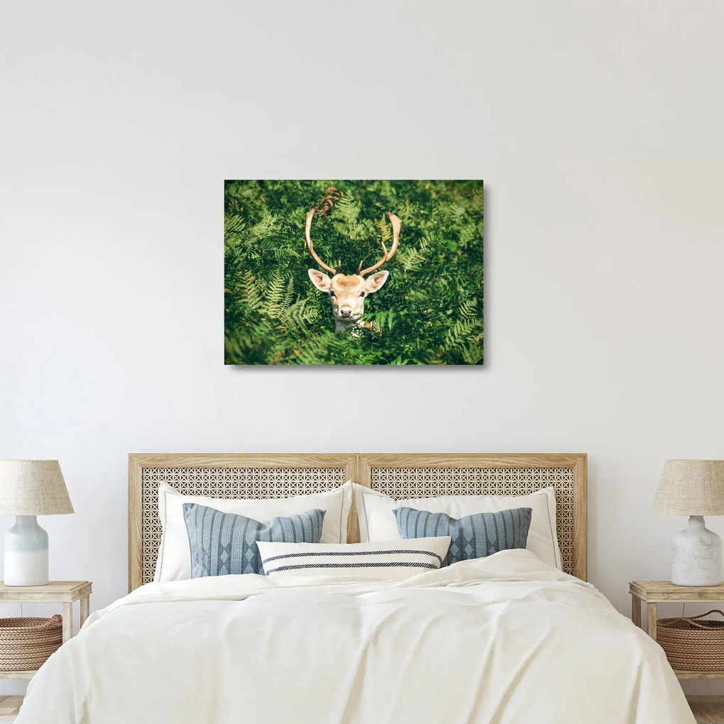 Kép - őz fej részlete (üvegen) (70x50 cm)