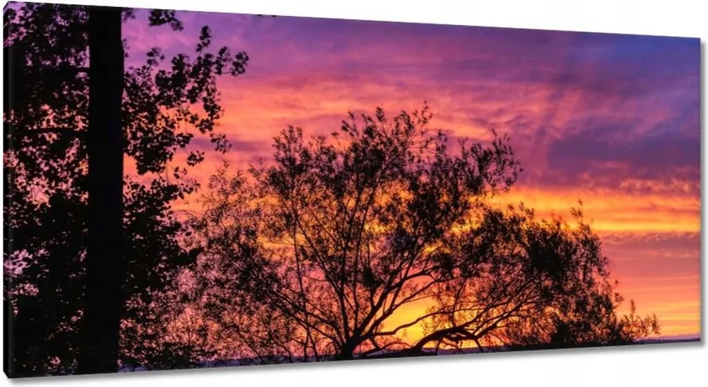 Vászonkép 115x55 Tó Fa Nyugat