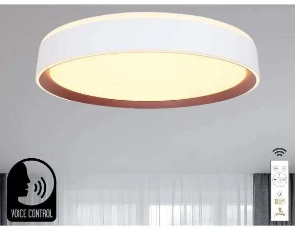 LED Dimmelhető mennyezeti lámpa hangvezérléssel OPAL LED/48W/230V + távirányító