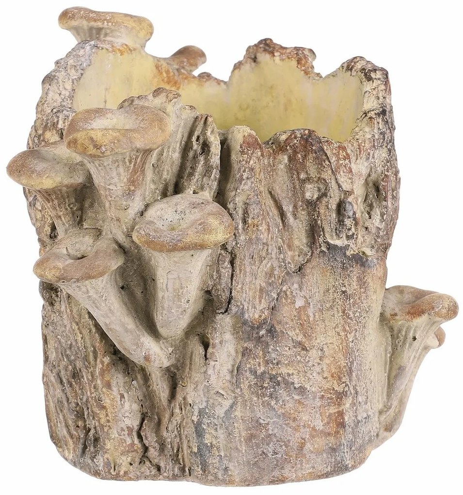 Beton burkolat - tusk with mushrooms, 19 x 17 x 16cm