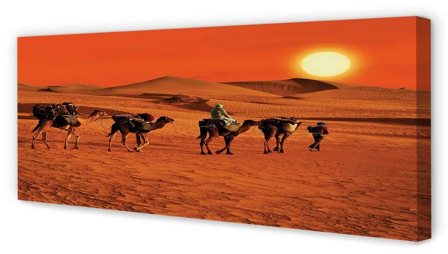 Canvas képek Tevék az emberek sivatagi nap ég 125x50 cm