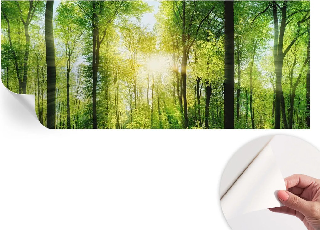 Fotótapéta Fali tapéta Hálószobába és Nappaliba Erdei harmónia 250x104 cm