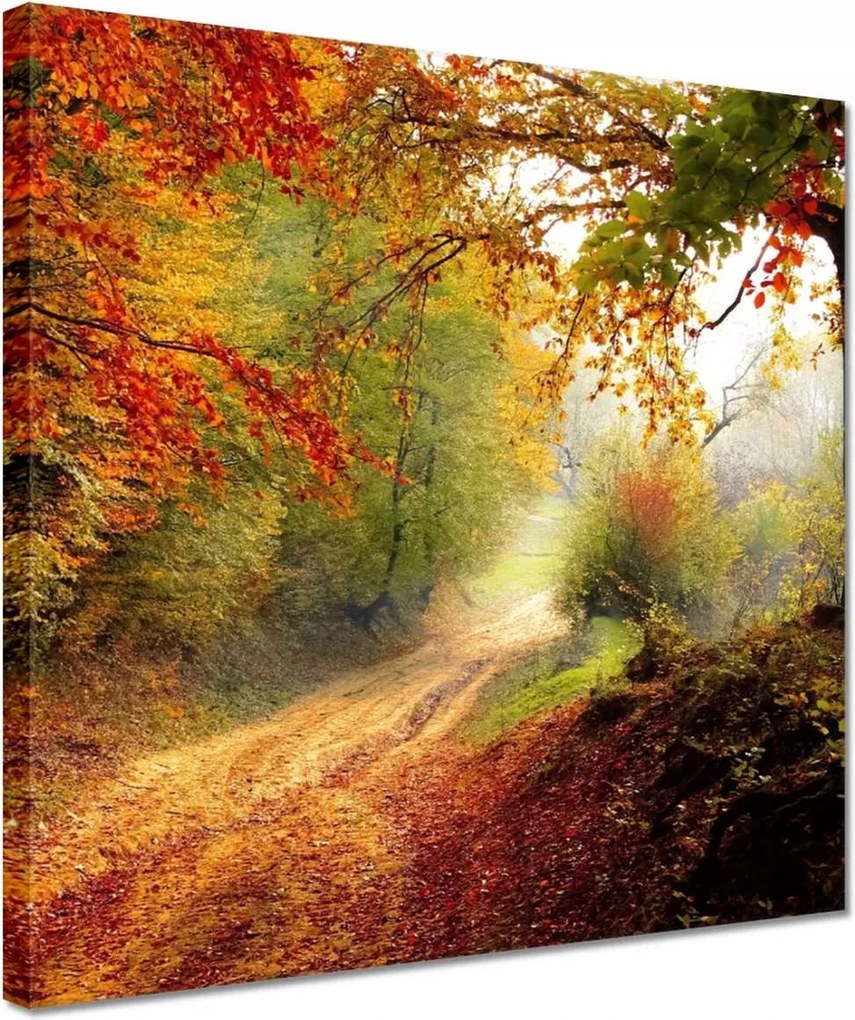 Festmények 30x30 Tájkép