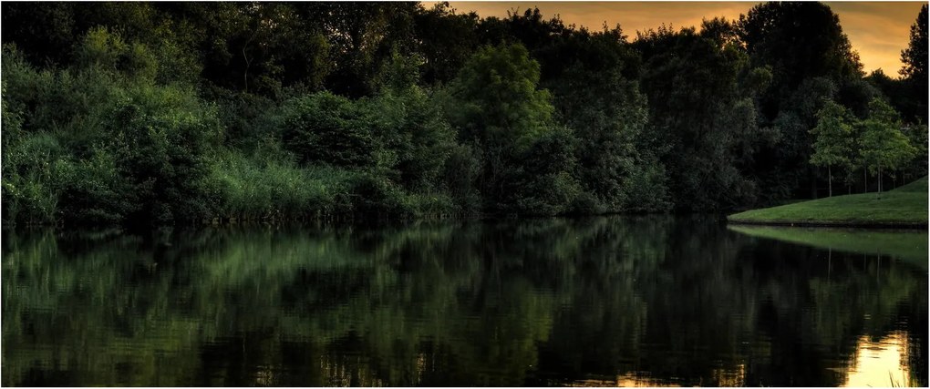 A tó képe az erdő mellett (120x50 cm)