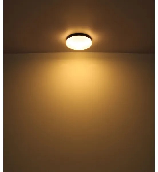 Globo 32112B - Fürdőszobai lámpa VRANOS 2xE27/60W/230V átm. 24 cm IP44