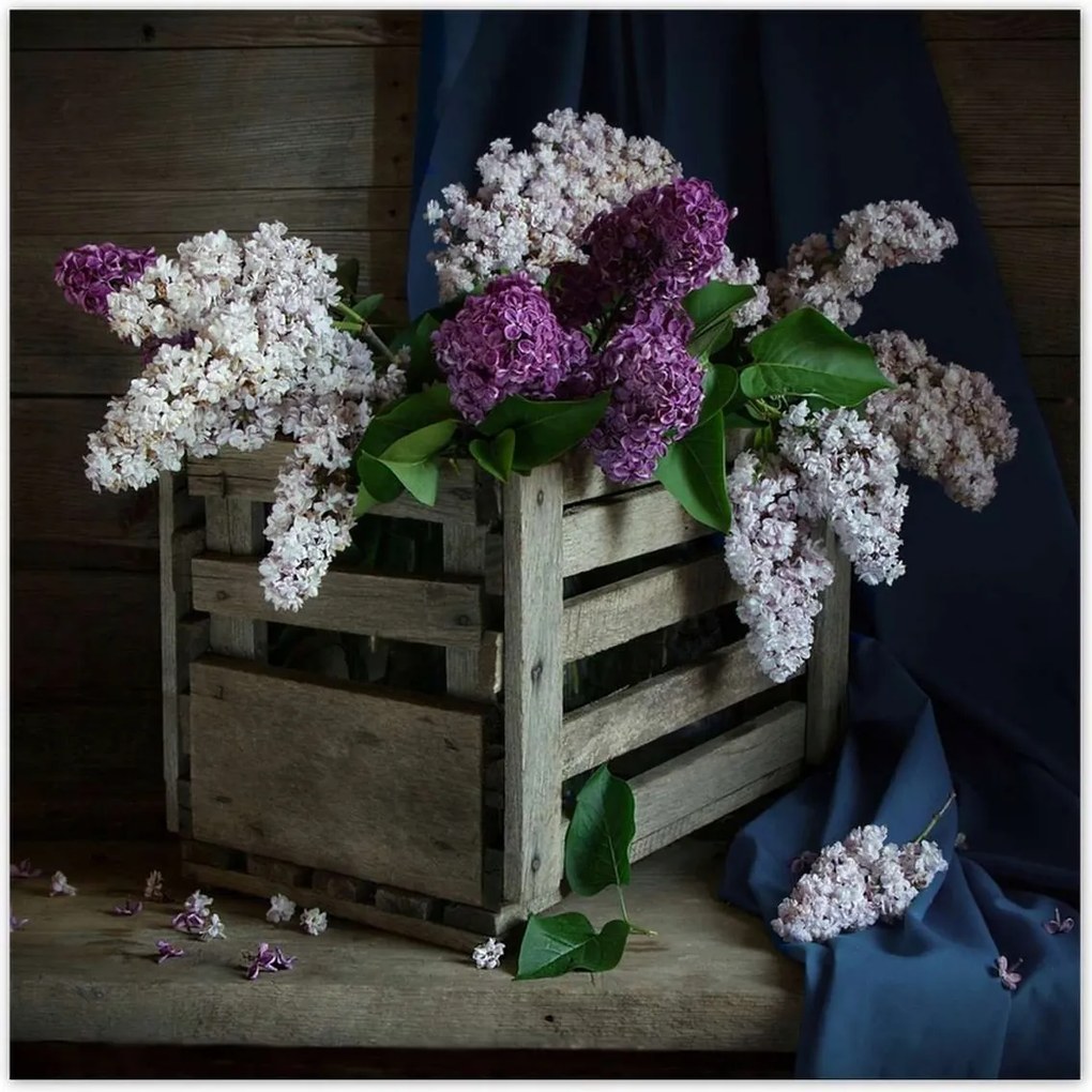 Poszterek 30x30 Doboz nélkül