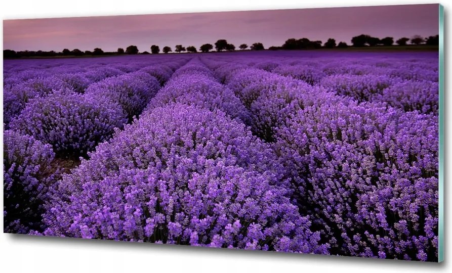 Fotótapéta üveg falra Orchidea bambusz 125x50