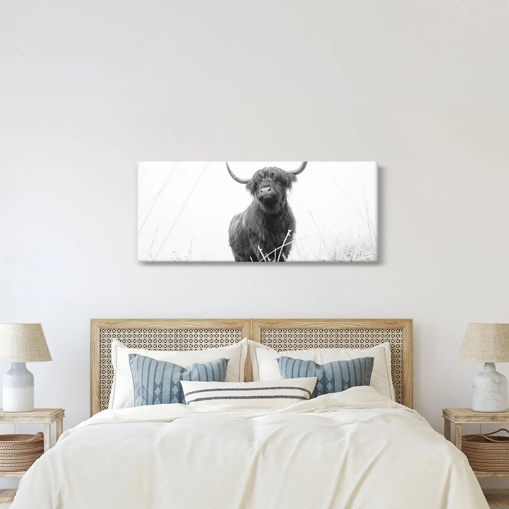 Kép - Skót tehén 4, fekete-fehér (120x50 cm)
