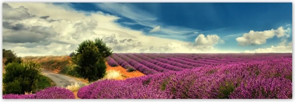 Fotótapéta flizelina 312x104 Levendula mező