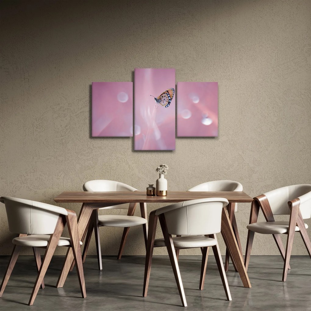Kép - Pillangó (90x60 cm)
