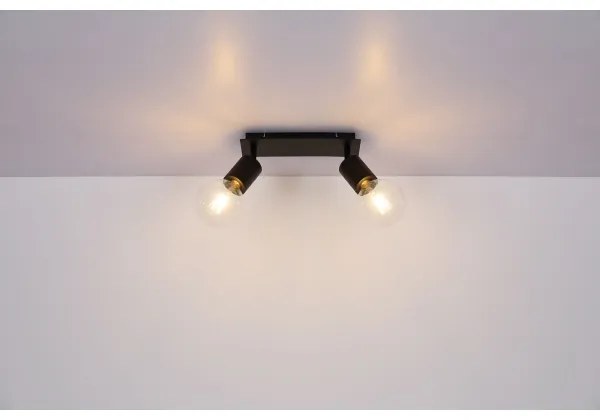 Globo 54030-2 - Spotlámpa HERMINE 2xE27/60W/230V