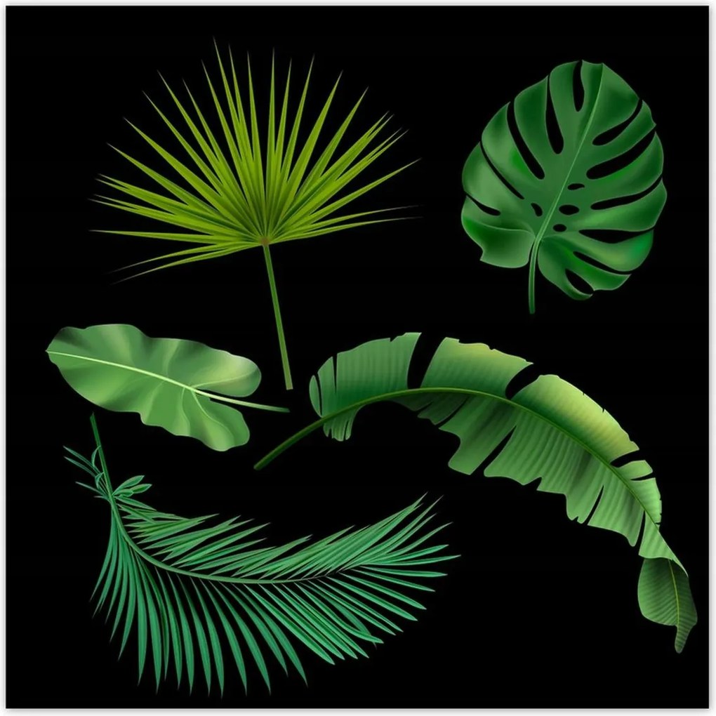 Poszterek 30x30 Trópusi zöld levelek