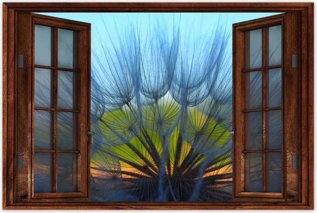 Poszterek 90x60 Pitypang Virág Virágok