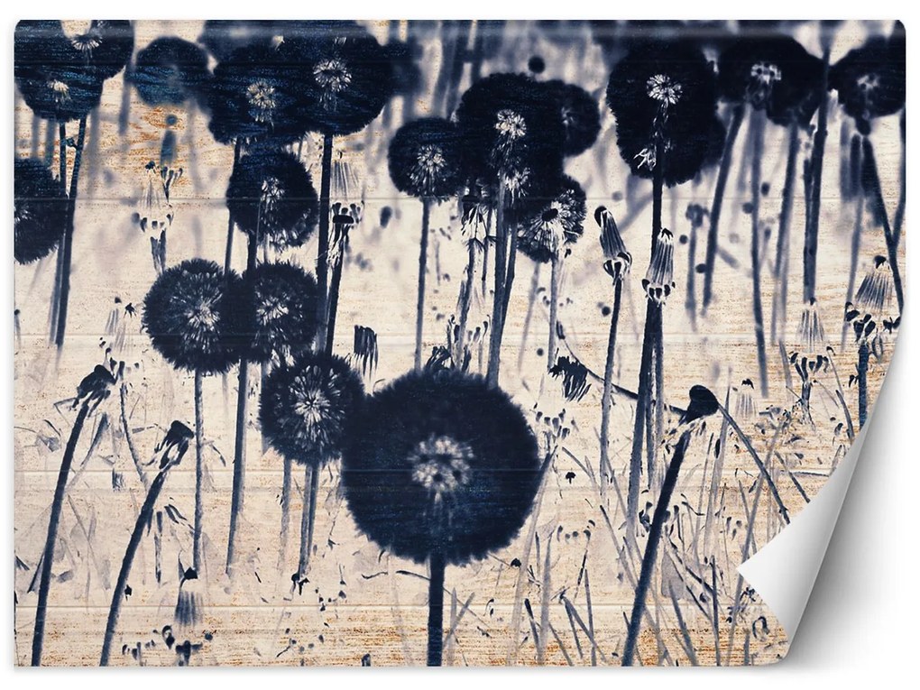 Gario Fotótapéta Monokróm pitypangok öregített deszkákon Anyag: Vlies, Méret: 100 x 70 cm