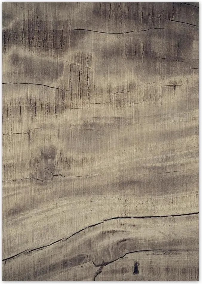 Poszterek A4 Pion Fa tégelyek Fa