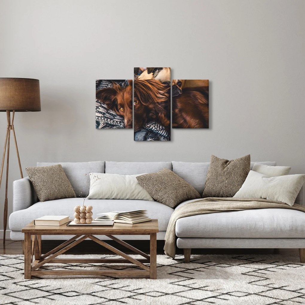 Egy kép fekvő kutyákról (90x60 cm)