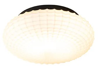 Klasszikus mennyezeti lámpa fekete opál üveggel 23 cm IP44 - Nohmi