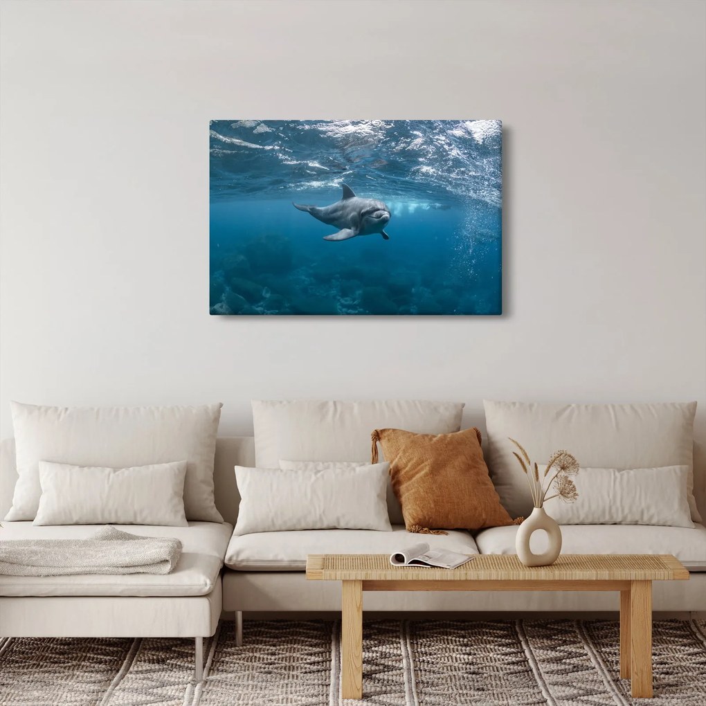 Kép - Delfin a felszín alatt (90x60 cm)