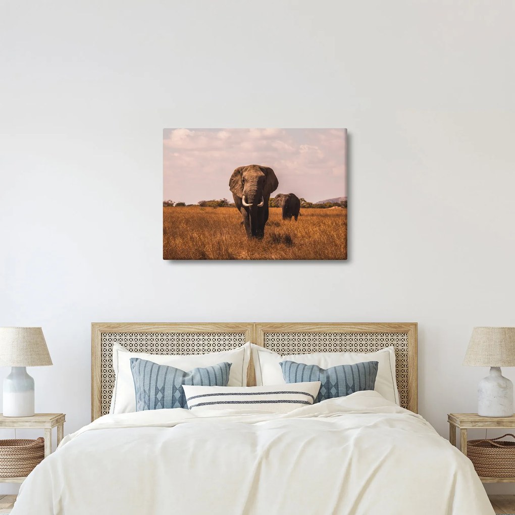 Kép - Az elefánt érkezése (70x50 cm)