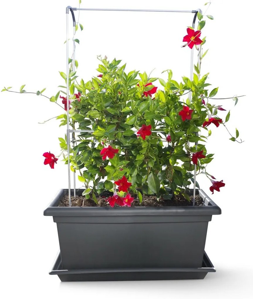 Gardenico Green Wall Magnus függőleges támasz, 80 cm, 80 cm