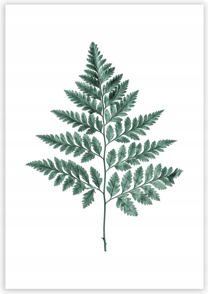 Dekoria Fern Emerald Green poszter