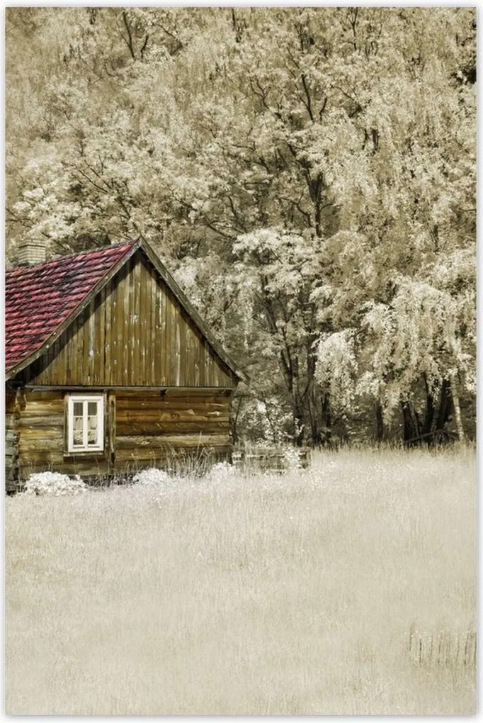 Poszterek 60x90 Rönkház Bale