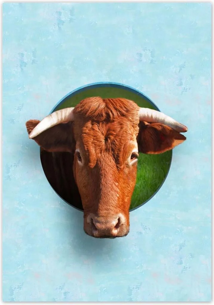 Poszterek 70x100 Szarvas tekintet Kék