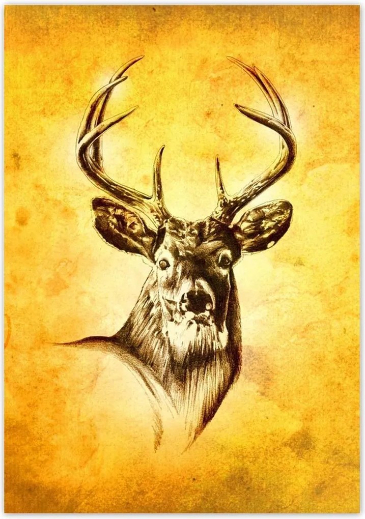 Poszterek 70x100 Szarvasfej szarvakkal