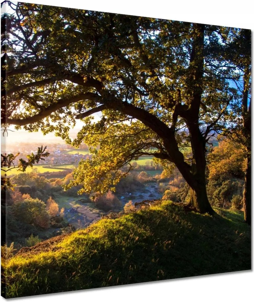 Vászonkép 50x50 Kilátás a völgyre